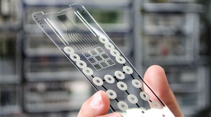 Membrane Switch Film